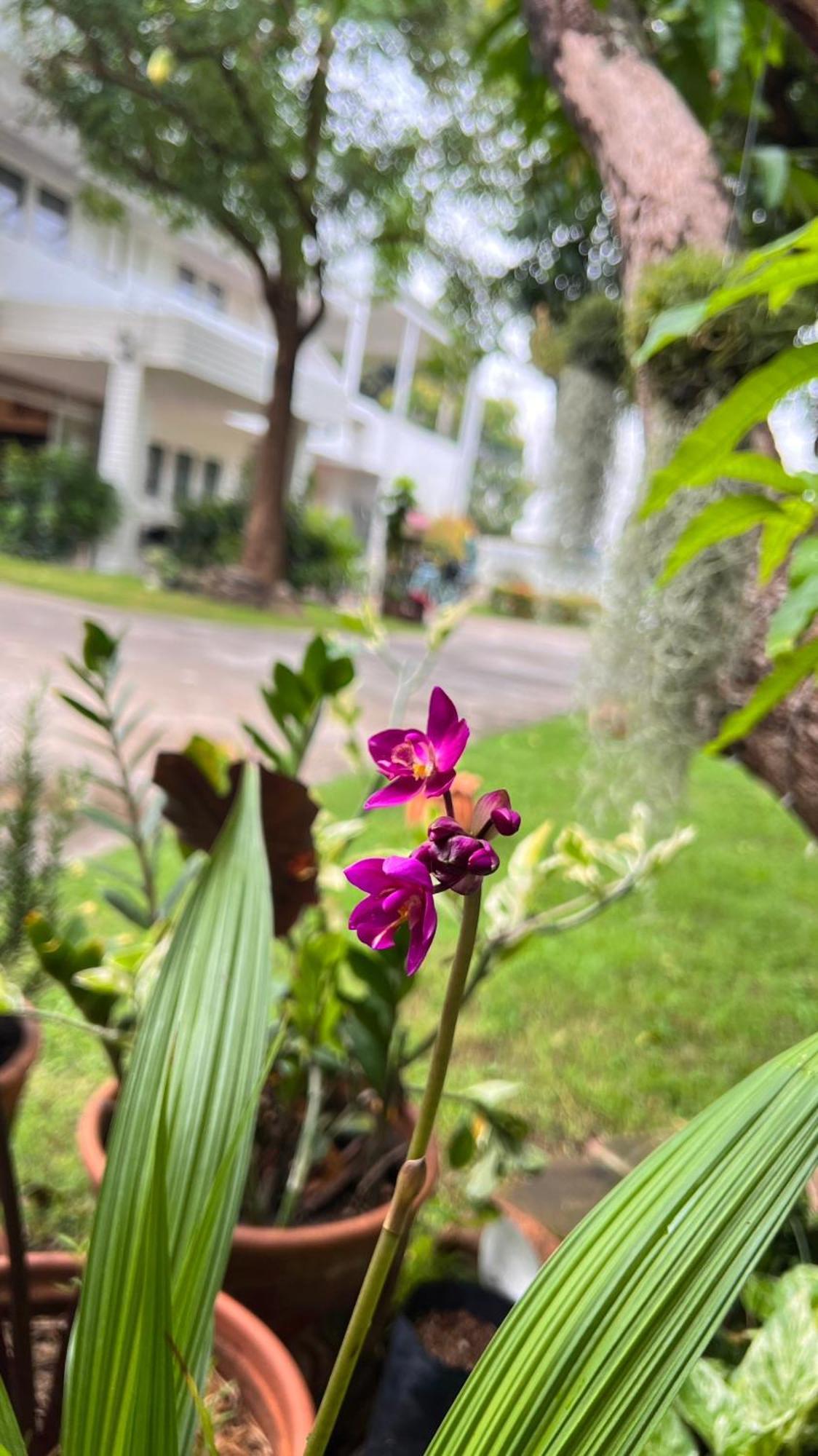 Udee Cozy Hotel شيانغ ماي المظهر الخارجي الصورة