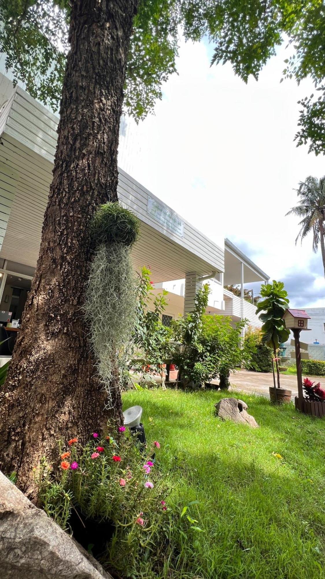 Udee Cozy Hotel شيانغ ماي المظهر الخارجي الصورة